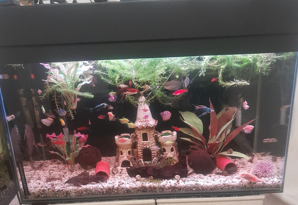 Продам Аквариум большой.