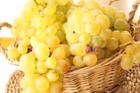 Vand struguri pentru vin !