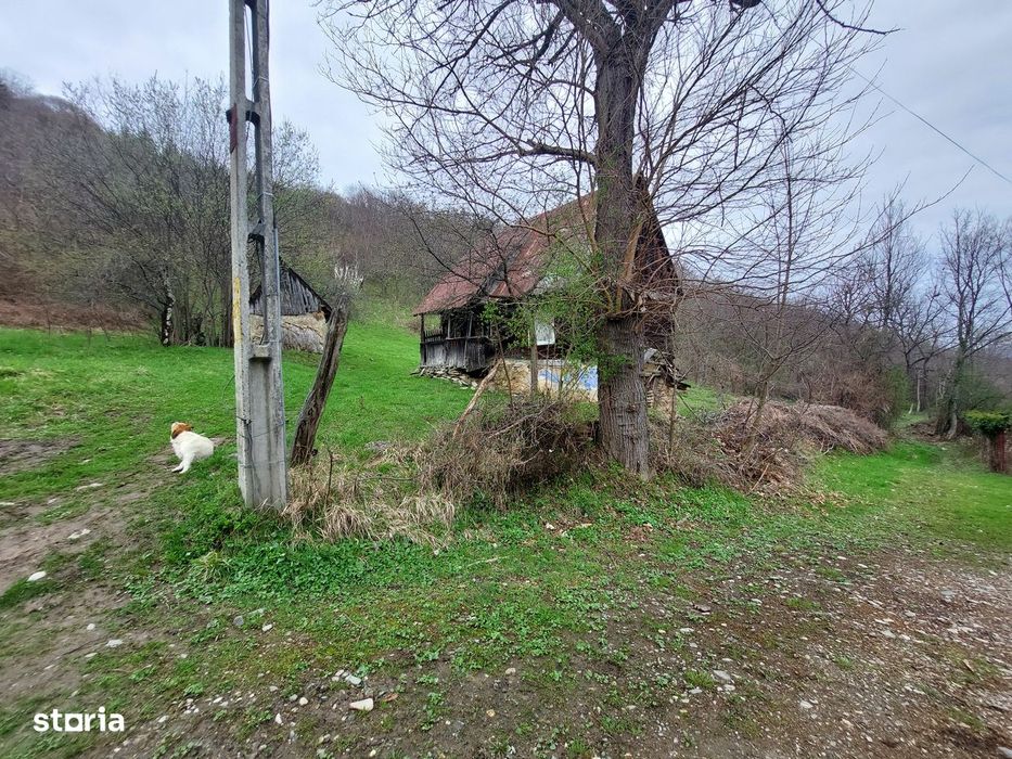Teren intravilan 1870 mp la Sibiel