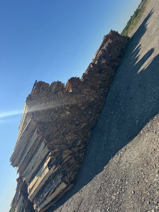 Cherestea LATUROAIE rasinoase