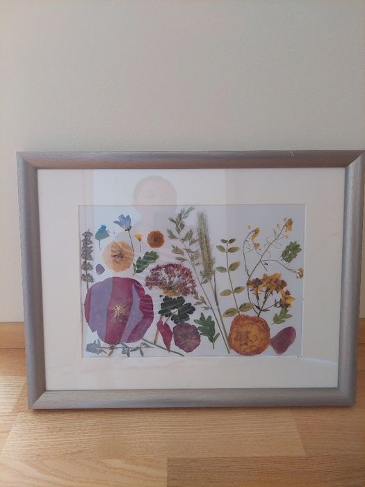 Tablou cu flori presate