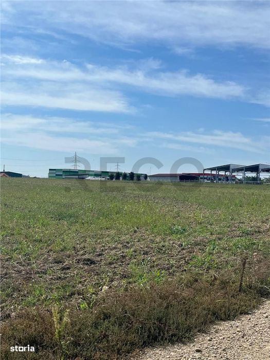 RECO Teren intravilan  industrial 6502 mp -FRONT 74 ML -centura Bihari