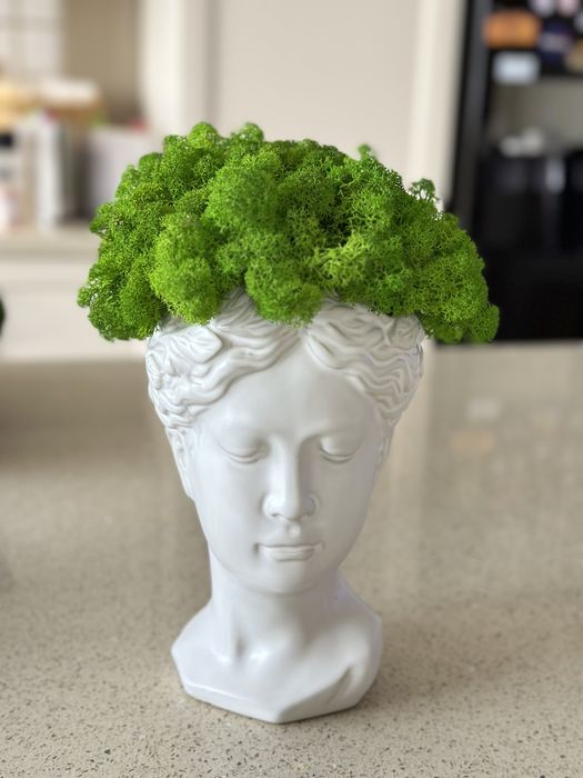 Decoratiuni cu licheni naturali