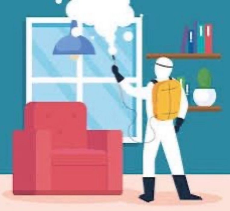 Уничтожение клопы  , тараканы.дезинфекция клещи, муравьи, осы