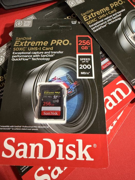 Card de memorie Sandisk 256 GB / 200MBs