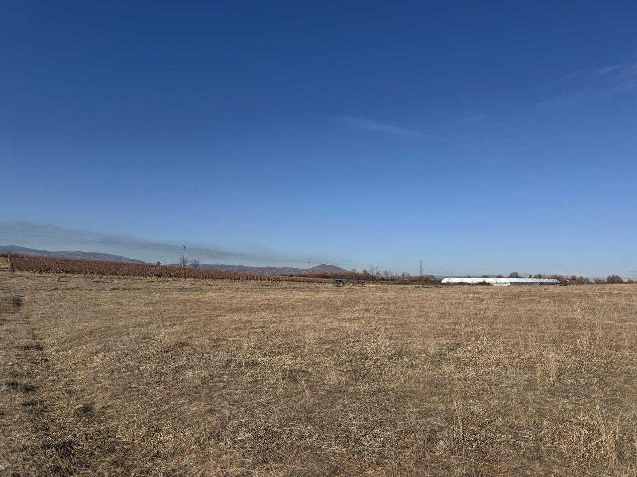 Продава се Земеделски имот в Сандански -  кв.м за 1640 €/дка - Снимка #6