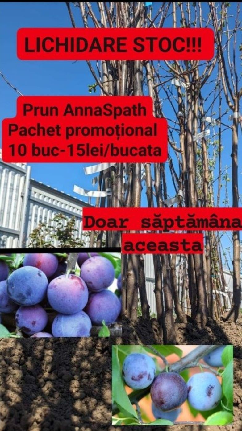 Pomi fructiferi altoiti