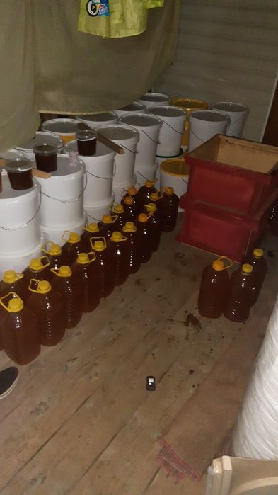 Натуральный мёд напрямую с собственной  пасики