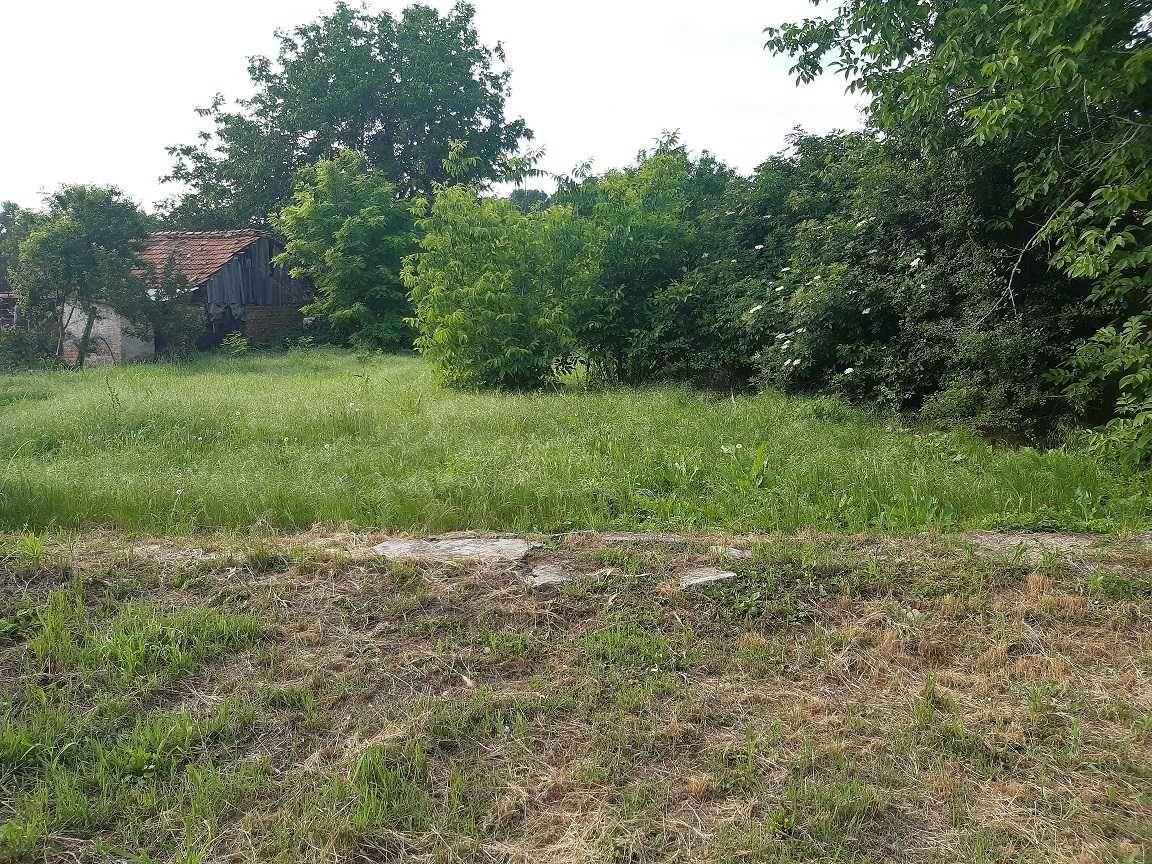 Продава се Парцел в Долна Оряховица - 1260 кв.м за 20 €/кв.м - Снимка #2