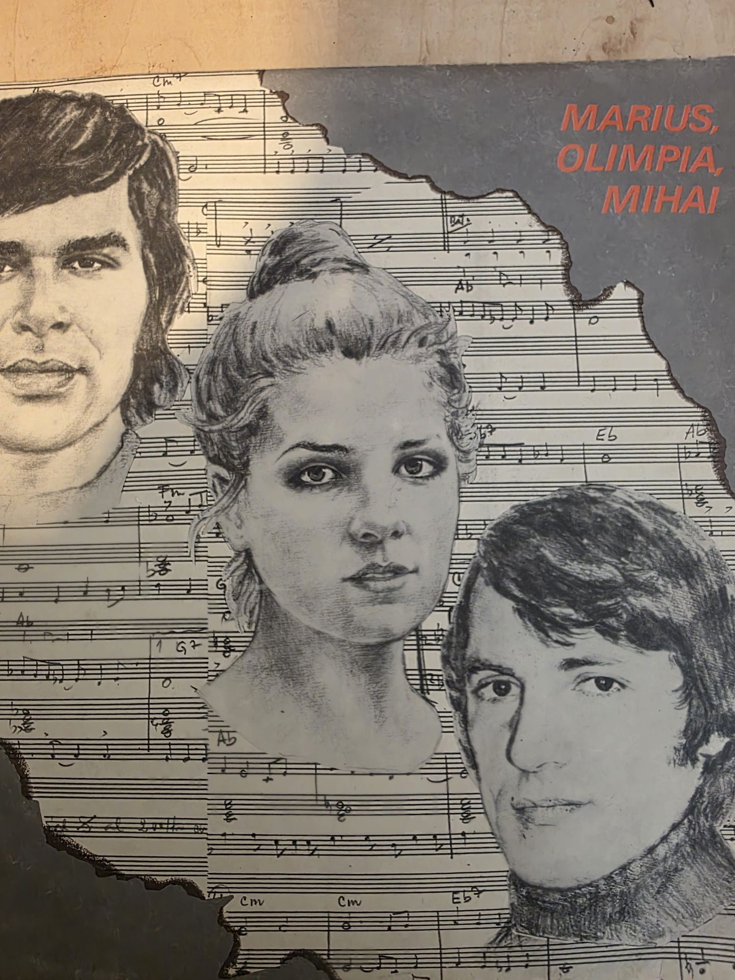 Discuri vinil...
