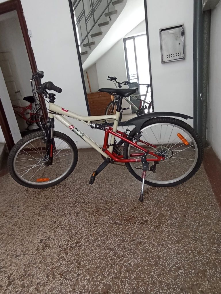 Trotineta, 2 bicicleta