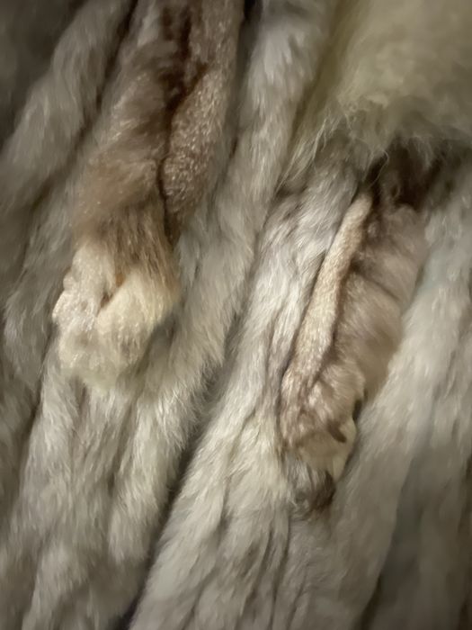 Blana naturala  , vulpe polara