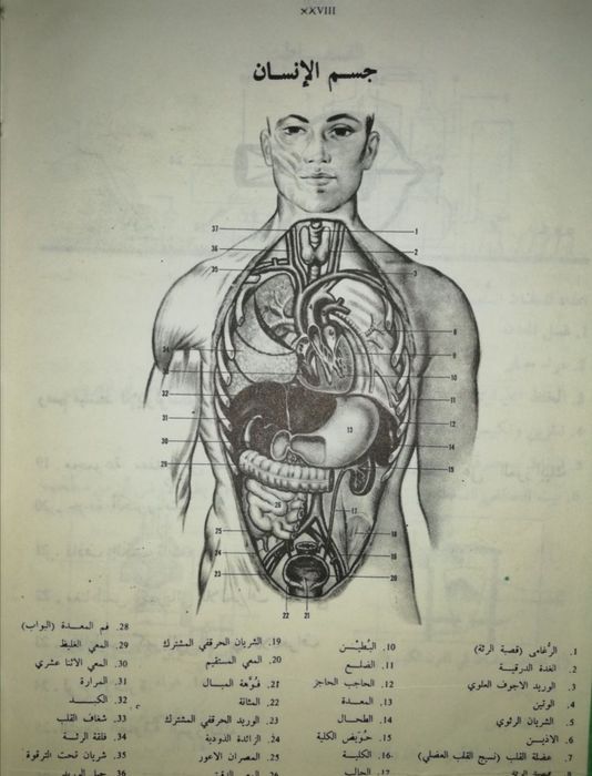 Толковый словарь арабского языка.
