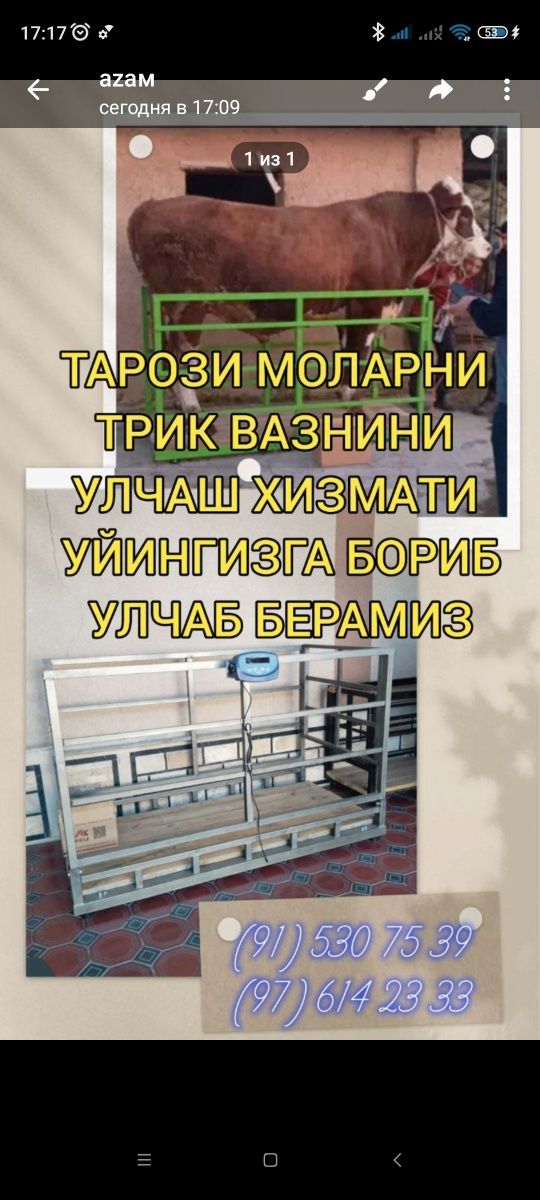 Tarozi xizmati uyingizga borib tortib beramiz