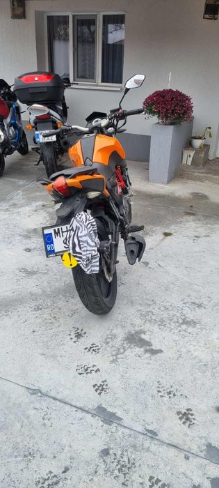 Vand grs 125 inmatriculata