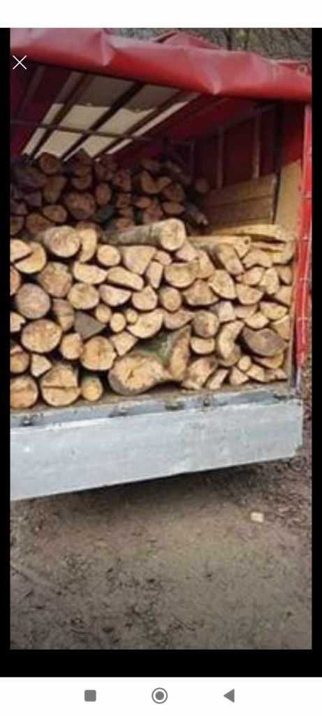 Vand lemne de foc Esenta tare Fag Carpen Stejar transport la domiciliu