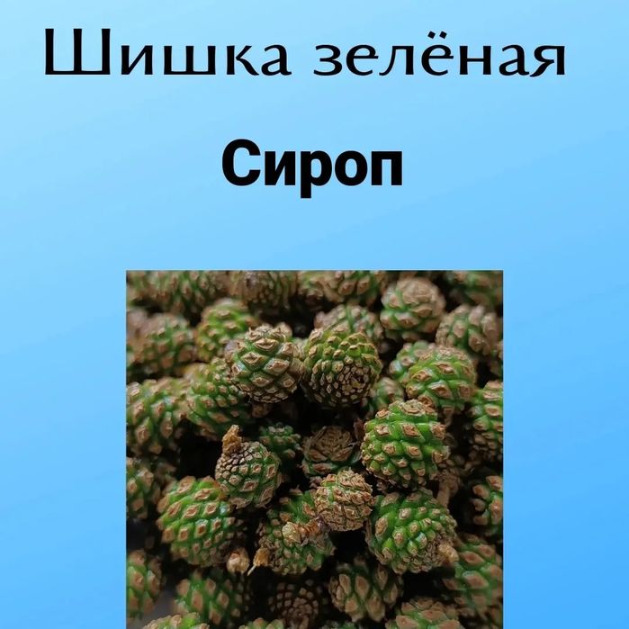 Сироп из Зелёной шишки от кашля ,для иммунитета