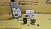 Set revizie  diferential/haldex