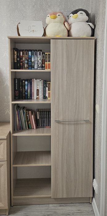 Шкаф - стеллаж 2в1