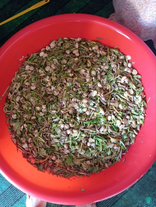 Tuy Salatlari mazalii