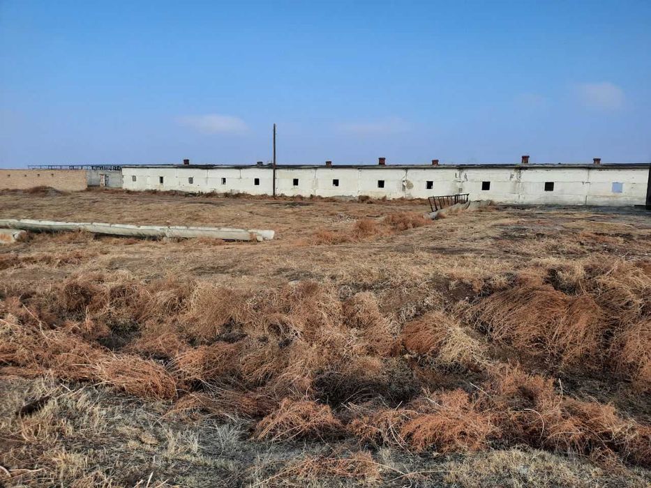 Продается 10 гект Кадастр.Янгийул.