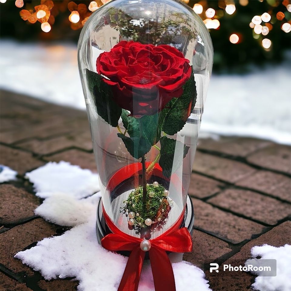 Cupole cu trandafiri criogenati rosii