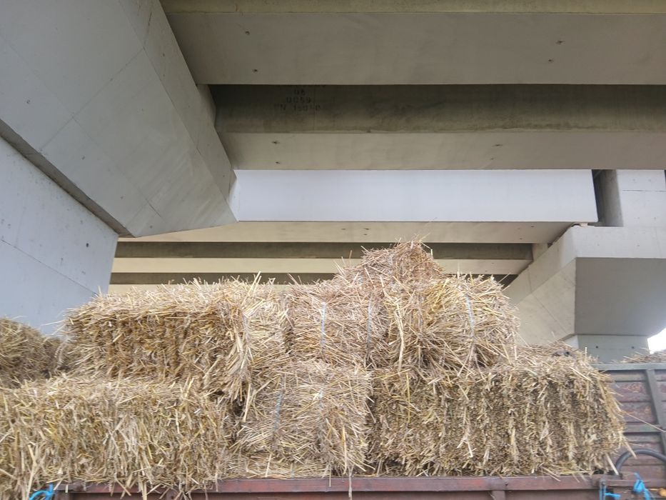 Baloti de paie, producție 2025