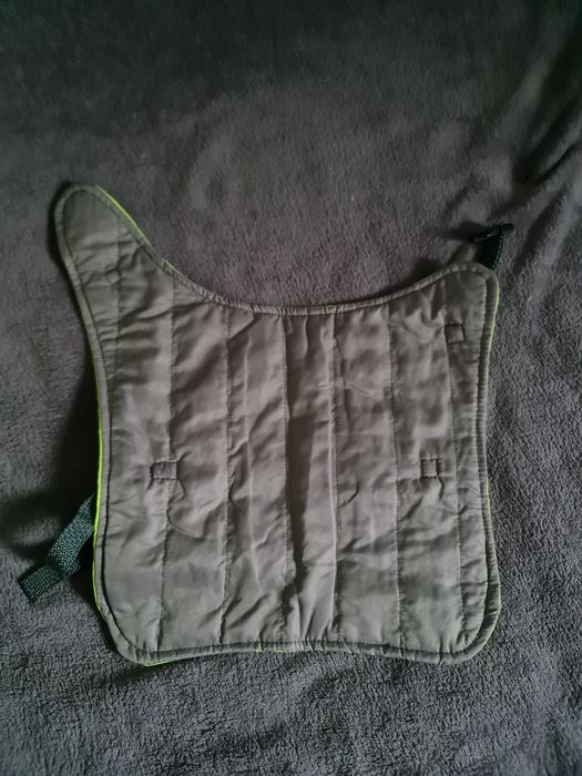 Hainuta catei, reflectorizanta