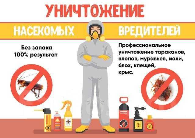 Дезинфекция Dezinfeksiya klop klapa клоп клапа таракан блох запахи