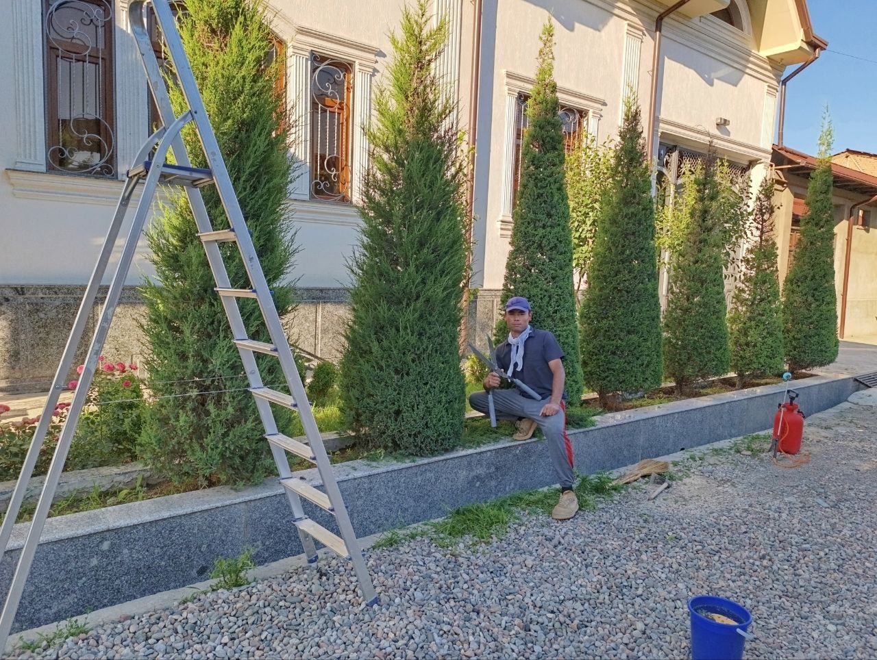 Archa kesish Dorilash va Gazon ikkish Daraxtlarga shakil berish xizmat