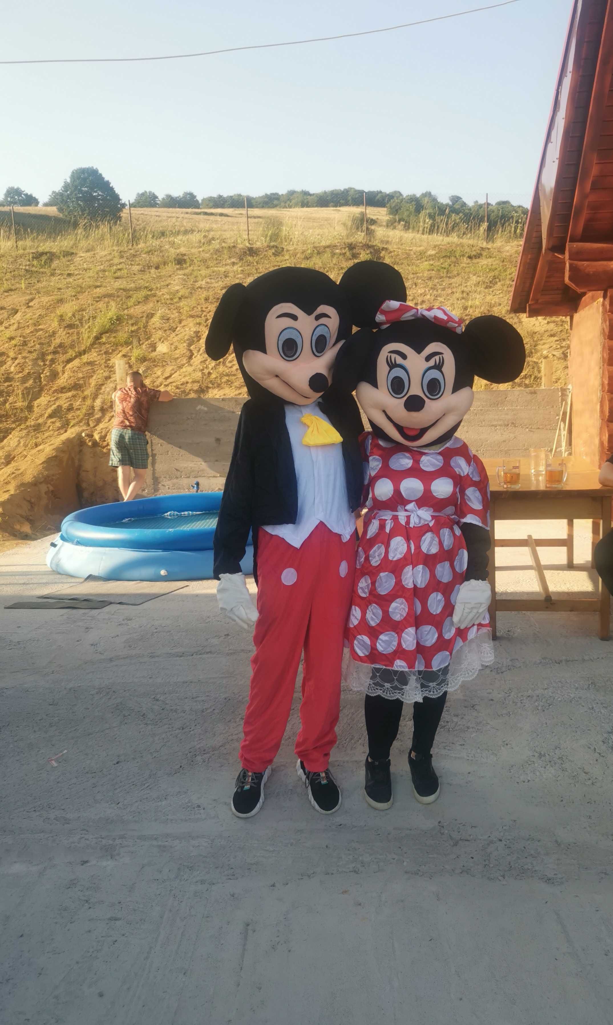 Vând costume de mickey și minni