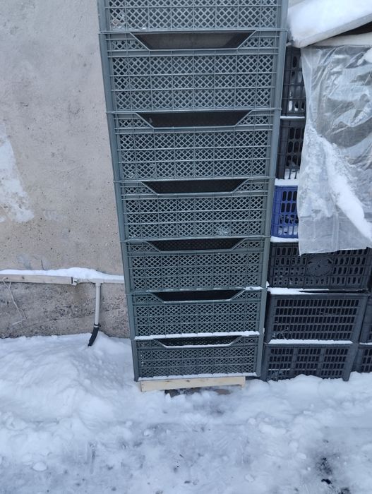 Продам ящики пластиковые