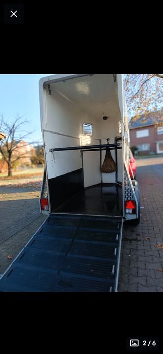 Коневозка на заказ