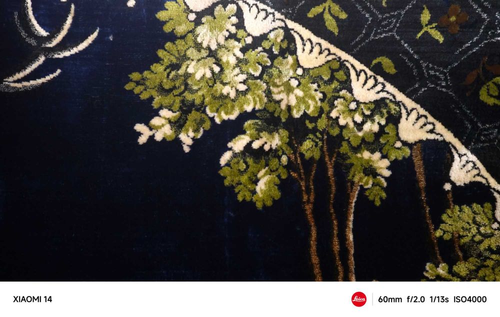 Vând urgent carpetă cerb, originală, model unic, stare foarte buna.