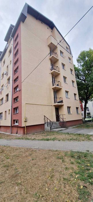 Garsonieră Timișoara