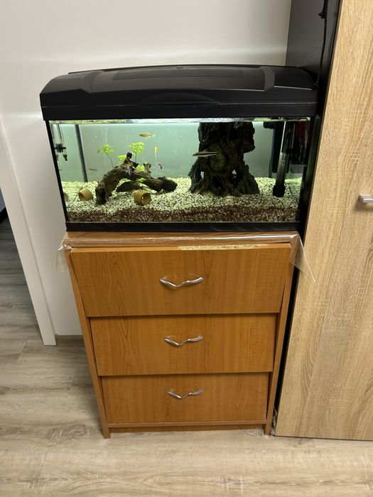 Acvariu complet cu pesti