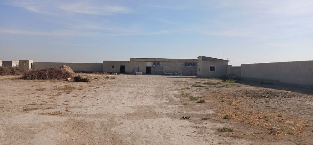 50 sotix yer va tayyor molxona — 140 000$