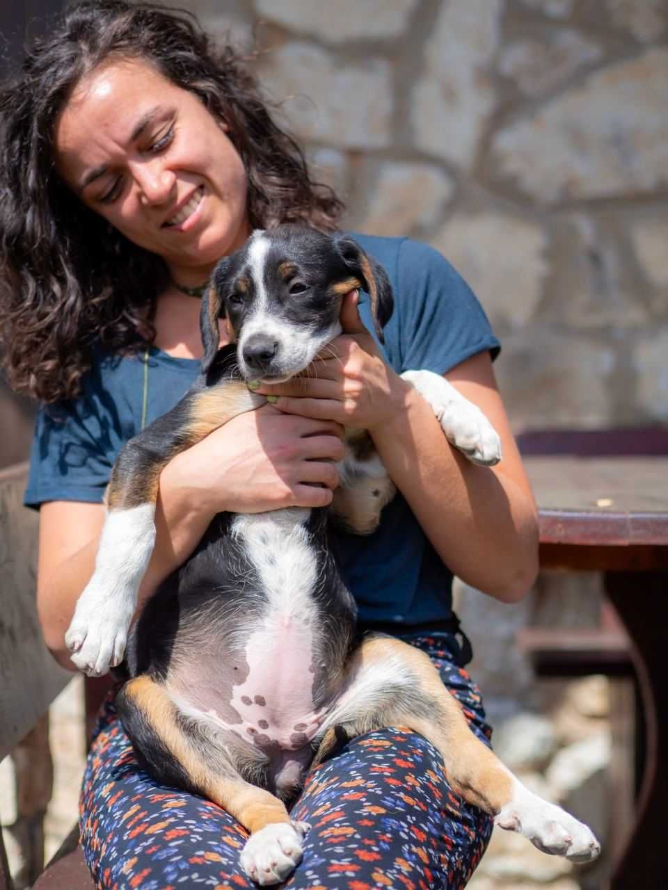 Осинови малко кученце и вземи една нощувка в Родопите безплатно
