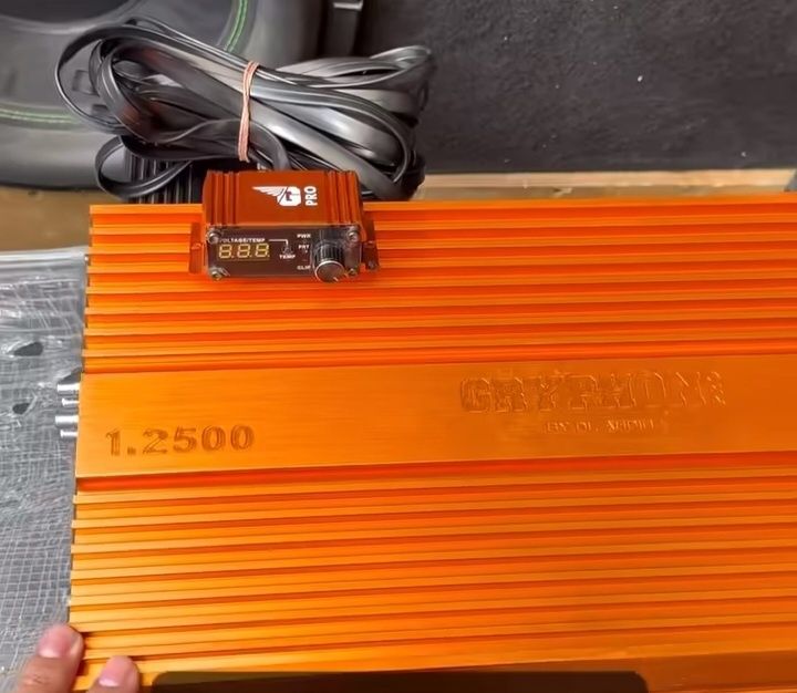 DL audio Gryphon Pro 1.2500 ideal