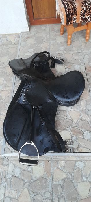 Sauă neagra din pele