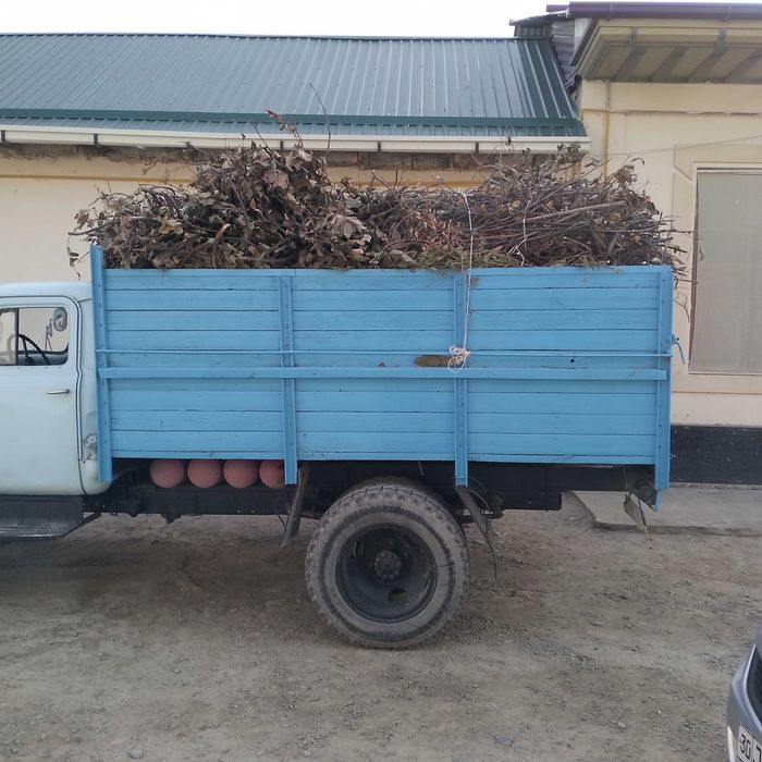 Utin dostavkasi Samarkand shahar