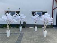 Decorațiuni nunta, aranjamente florale, arcada pentru poarta