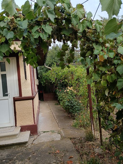 Vând casa cu teren 1000 m2