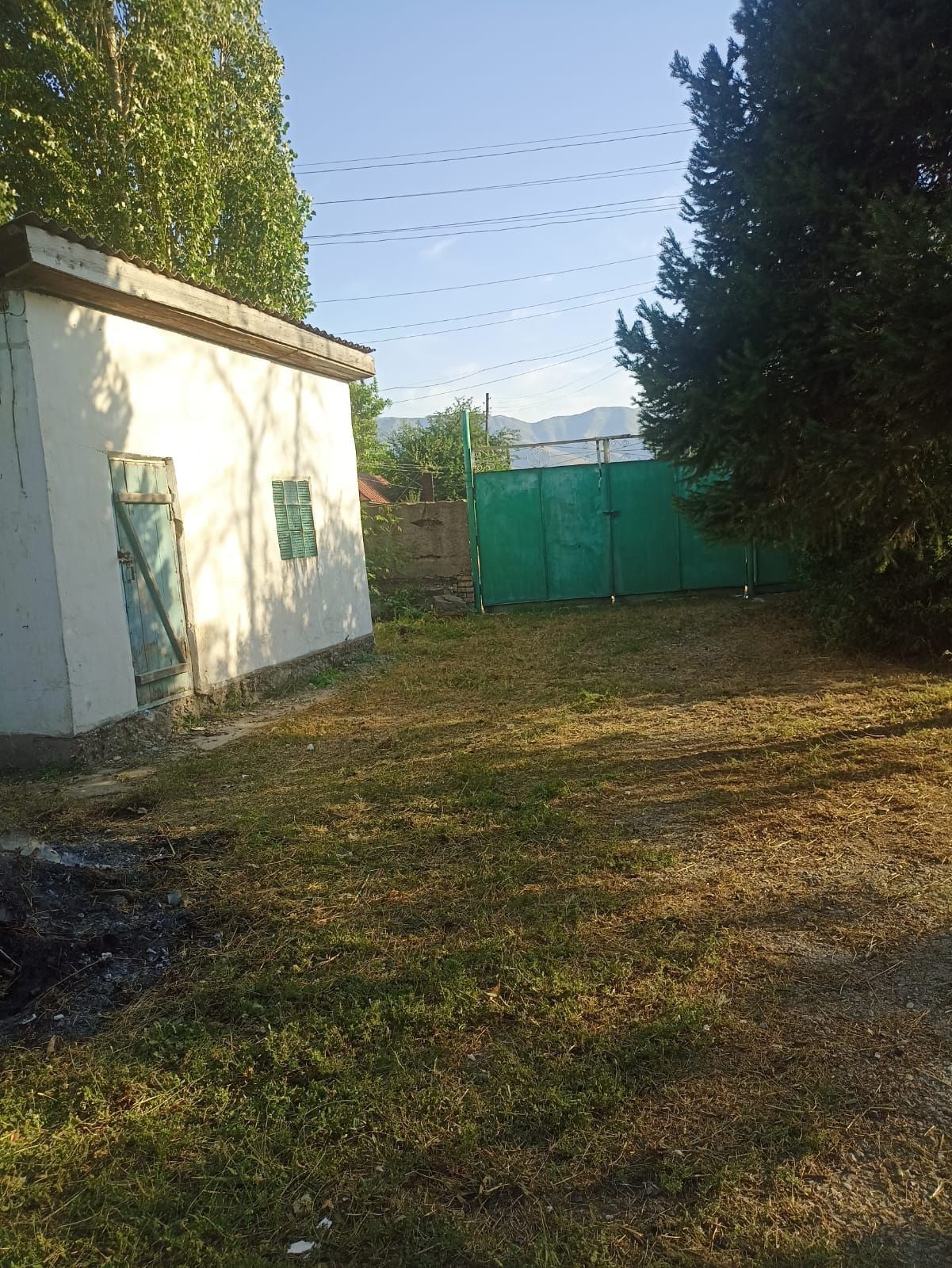 Түлкібас ауылында Уй сатылады