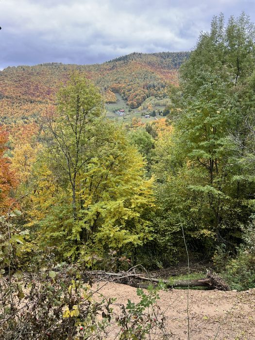 Teren de vanzare-Muntele Rece