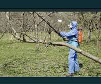 Опрыскивание деревьев и хвойных пород, Обработка от мух и комаров