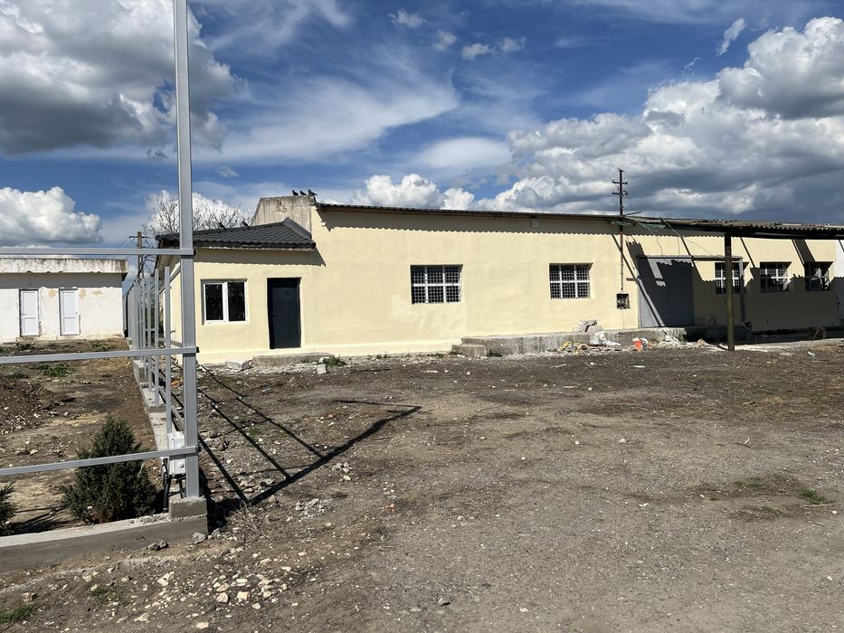 Hala de vanzare Medgidia