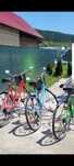 Vand 3 biciclete reconditionate in totalitate ca si noi
