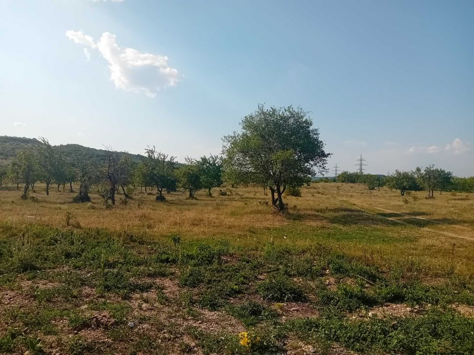 15000 mp extravilan