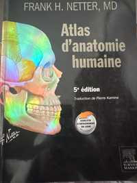 Atlas de anatomie a omului Netter editia 5